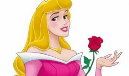 公主卡通漫画,梦幻王国里的奇幻冒险